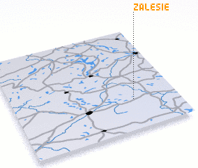 3d view of Zalesie