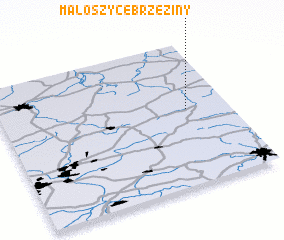 3d view of Małoszyce Brzeziny