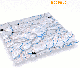 3d view of Naprawa