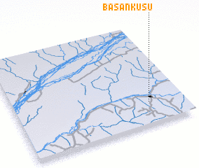 3d view of Basankusu