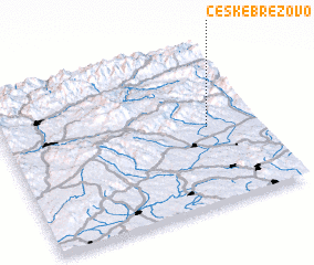 3d view of České Brezovo