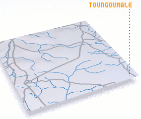 3d view of Toungoumalé