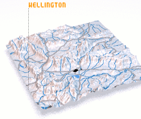 3d view of Wellington