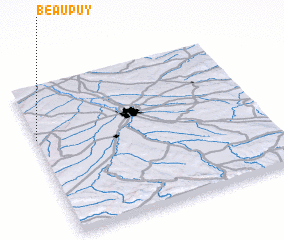 3d view of Beaupuy