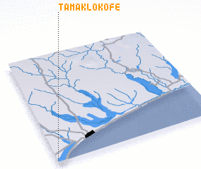 3d view of Tamaklokofe