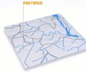 3d view of Padyanga