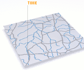 3d view of Toké