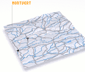 3d view of Montvert