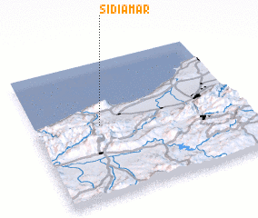 3d view of Sidi Amar