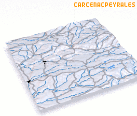 3d view of Carcenac-Peyralès