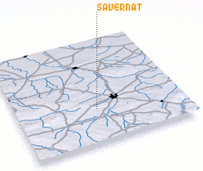 3d view of Savernat