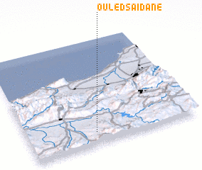 3d view of Ouled Saïdane