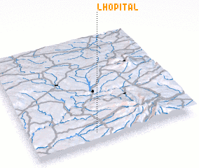 3d view of LʼHôpital