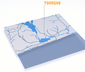 3d view of Toungué