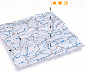 3d view of Salmiech