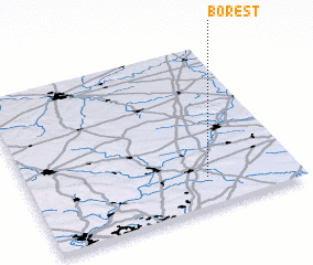 3d view of Borest