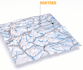 3d view of Montner