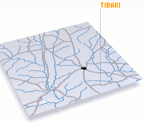 3d view of Tibaki