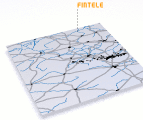 3d view of Fintele