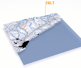 3d view of Salt