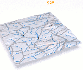 3d view of Say