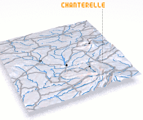 3d view of Chanterelle