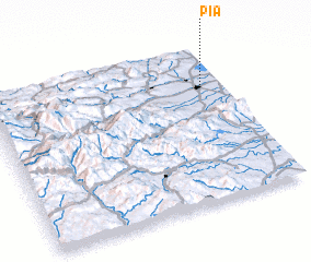 3d view of Pia