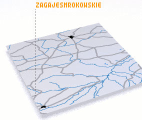 3d view of Zagaje Smrokowskie