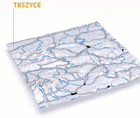 3d view of Taszyce