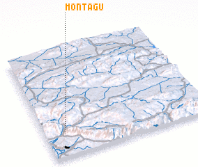 3d view of Montagu