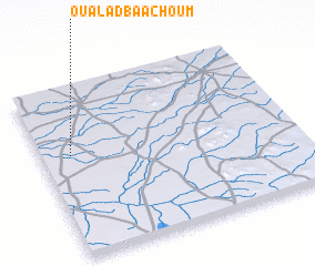 3d view of Oualad Baachoum