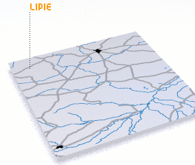 3d view of Lipie