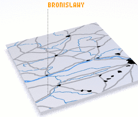 3d view of Bronisławy