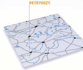 3d view of Petrykozy