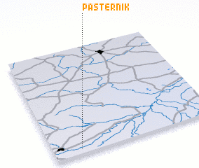 3d view of Pasternik