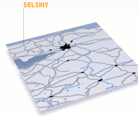 3d view of Sel\