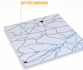 3d view of Brynica Mokra
