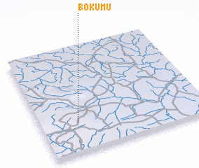 3d view of Bokumu