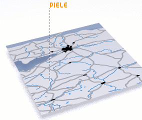 3d view of Piele