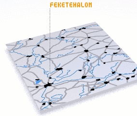 3d view of Feketehalom