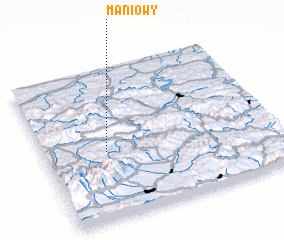 3d view of Maniowy