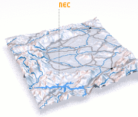 3d view of Nec