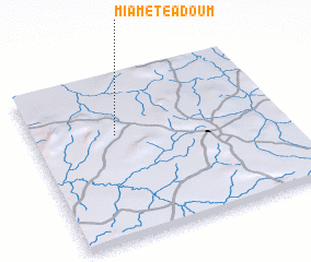 3d view of Miamété Adoum