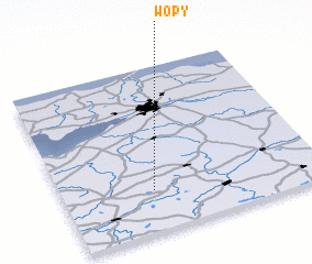 3d view of Wopy