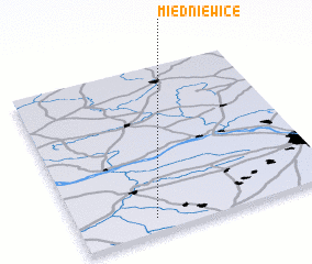 3d view of Miedniewice