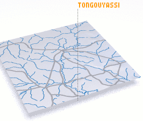 3d view of Tongouyassi