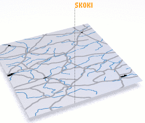 3d view of Skoki