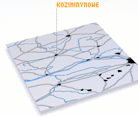 3d view of Koziminy Nowe