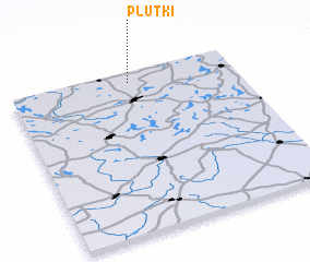 3d view of Plutki