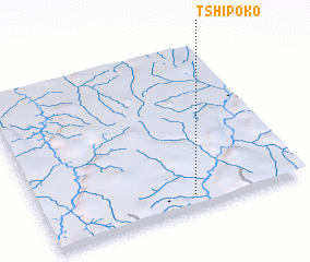 3d view of Tshipoko